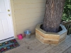 Tree Bench