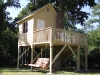 Amazing Tree House
