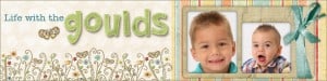goulds2a