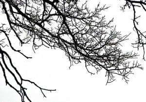 blackwhiteskysm blackwhiteskysm