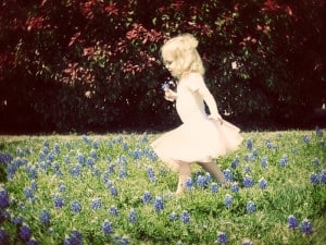 bluebonnets bluebonnets