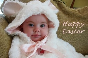 bunny