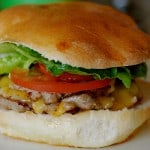 turkey_burger turkey_burger