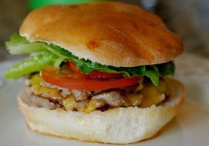 turkey_burger turkey_burger