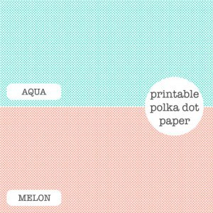 polkadotpaper