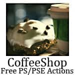 coffee coffee