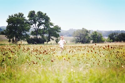 wild flowers wild flowers
