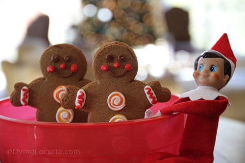 Best idea! Elf on the Shelf Magic Seeds turn into cookies and a Free Printable Letter from Santa. LivingLocurto.com