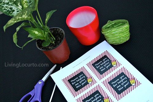 Along with Amy's cute free printable tags you're all set for a gift idea