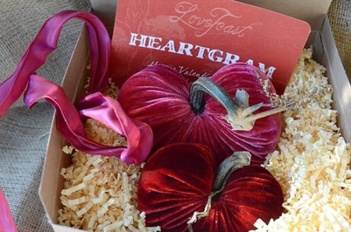 The LoveFeast™ HeartGram™ Valentine. Beautiful Gift Idea LoveFeast HeartGram Valentine's Day Gift Pillow - Giveaway by Living Locurto
