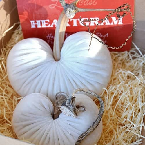 The LoveFeast™ HeartGram™ Valentine. Beautiful Gift Idea LoveFeast HeartGram Valentine's Day Gift Pillow - Giveaway by Living Locurto
