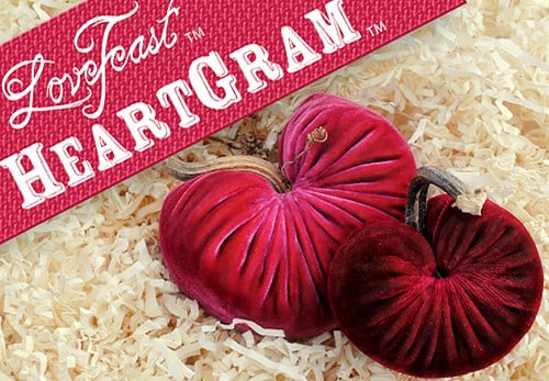 The LoveFeast™ HeartGram™ Valentine. Beautiful Gift Idea LoveFeast HeartGram Valentine's Day Gift Pillow - Giveaway by Living Locurto