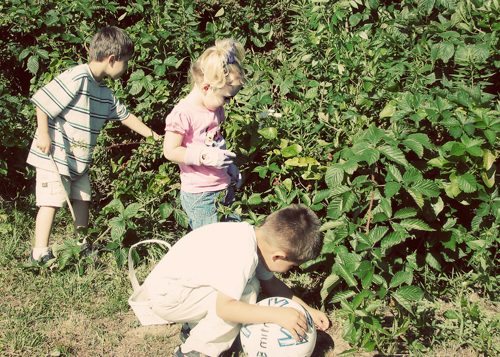 kids_sm kids sm