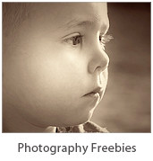 Photography - Free downloads
