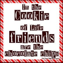 nofussfabulouscookietag1-copy nofussfabulouscookietag1-copy