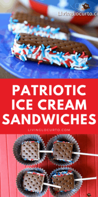 Red white and blue Ice cream sandwich