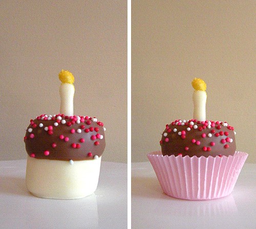 8 Easy Ways to Decorate a Marshmallow Pop - Birthday Cake Marshmallows Party Recipe Ideas. LivingLocurto.com