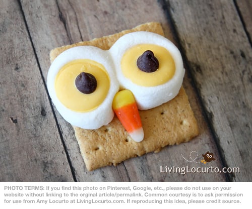 Owl S'mores Recipe by Amy Locurto at LivingLocurto.com - Such an Easy Fun Food Idea for a birthday party, fall party, Thanksgiving or Halloween!