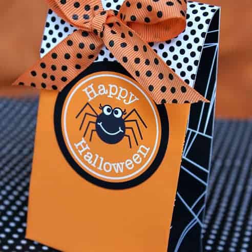 spider bag