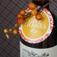 Great Free Party Printables for Thanksgiving. Coloring Pages, Conversation Starters and more!  LivingLocurto.com