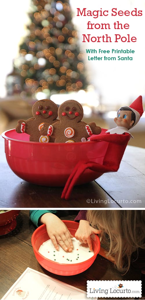 Best idea! Elf on the Shelf Magic Seeds turn into cookies and a Free Printable Letter from Santa. LivingLocurto.com