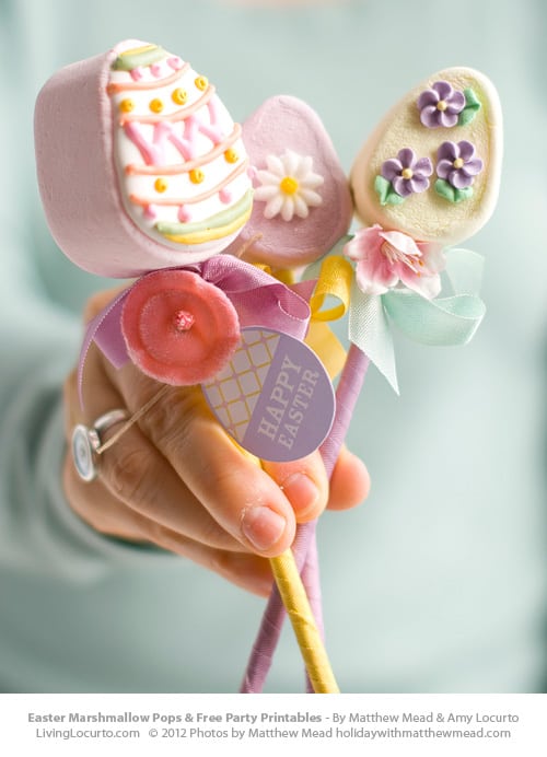 Easter Egg Marshmallow Pops & Free Printables by Amy Locurto and Matthew Mead. LivingLocurto.com