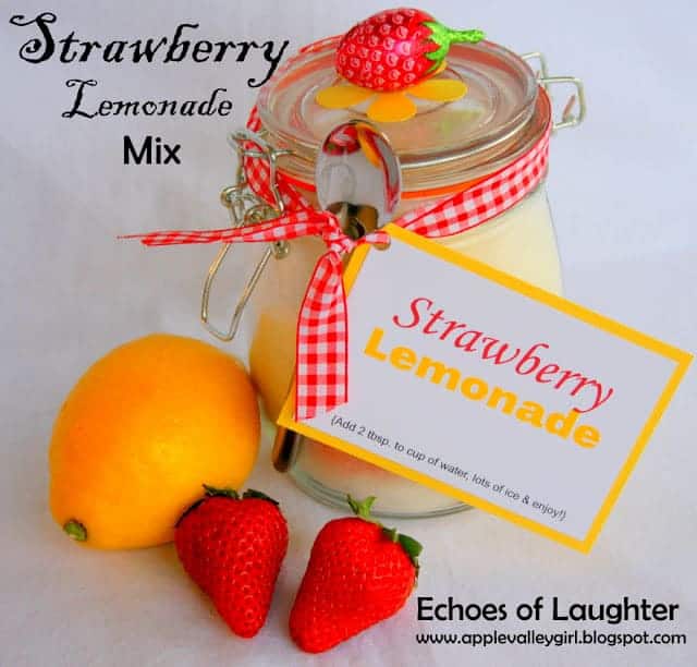 Strawberry Lemonade Mix By Echoes of Laughter