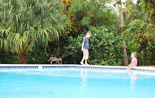 7 Simple Tips for Taking Amazing Family Vacation Photos by LivingLocurto.com - Bluefields Bay Jamaican Villas