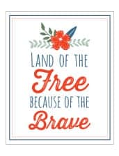 Enjoy this red, white and blue Free Printable Patriotic Wall Art that's perfect party decor for summer holidays!