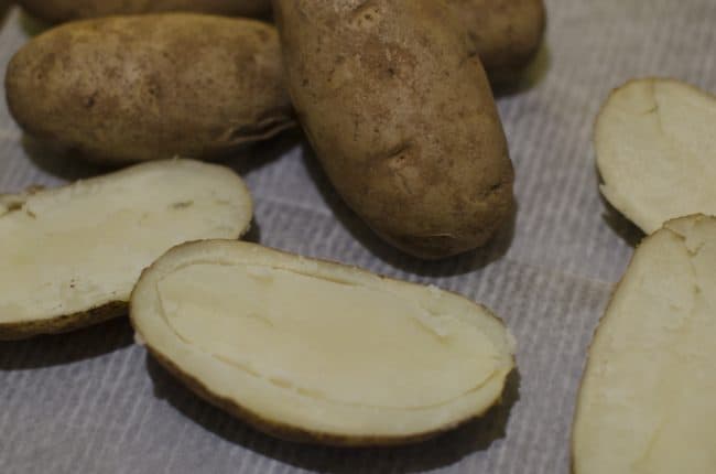 Taco Potato Skins - Easy Party Appetizer Recipe 