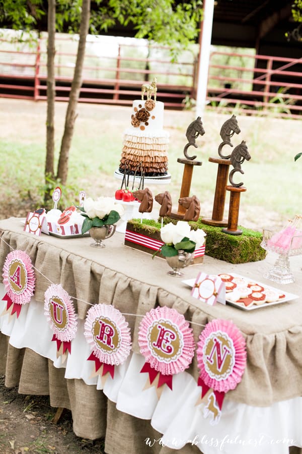 Beautiful Horse Birthday Party by A Blissful Nest