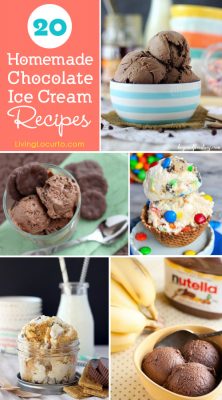 20 Chocolate Homemade Ice Cream Recipes