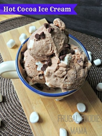 Hot Cocoa Ice Cream by The Frugal Foodie Mama.
