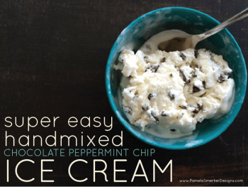 Homemade Peppermint Chocolate Chip Ice Cream Recipe
