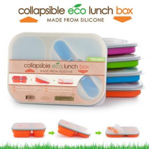 collapsible lunch box