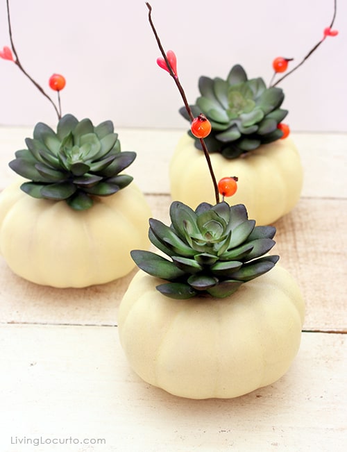Mini Pumpkin DIY Succulent Centerpiece Craft - Perfect for a Thanksgiving Dinner Table. LivingLocurto.com