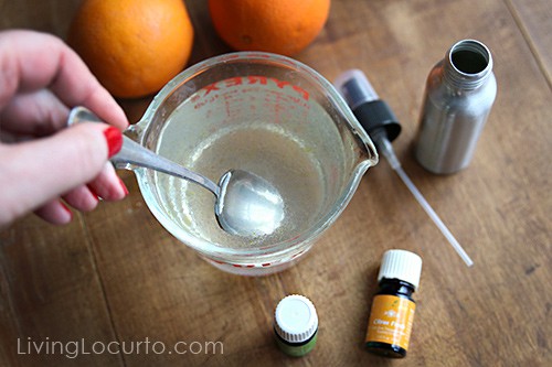 Orange Creamsicle Room Spray! An easy DIY Gift Idea with Essential Oils. LivingLocurto.com 