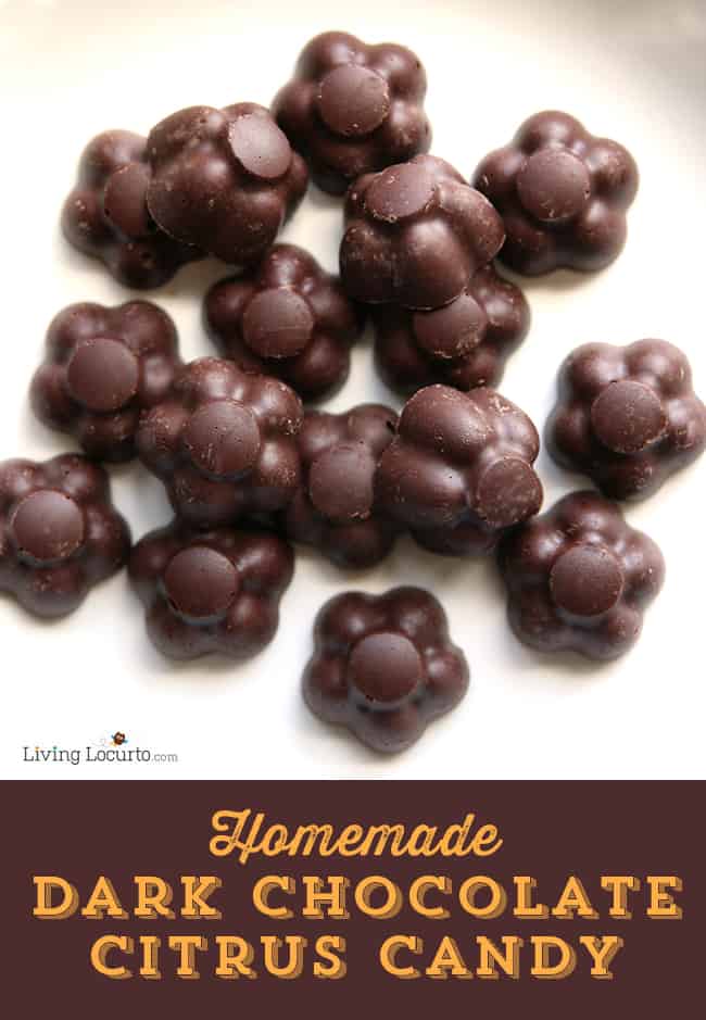 Dark Chocolate Citrus Candy. This no-bake recipe only takes a few minutes and is loaded with nutrients that can positively affect your health! LivingLocurto.com
