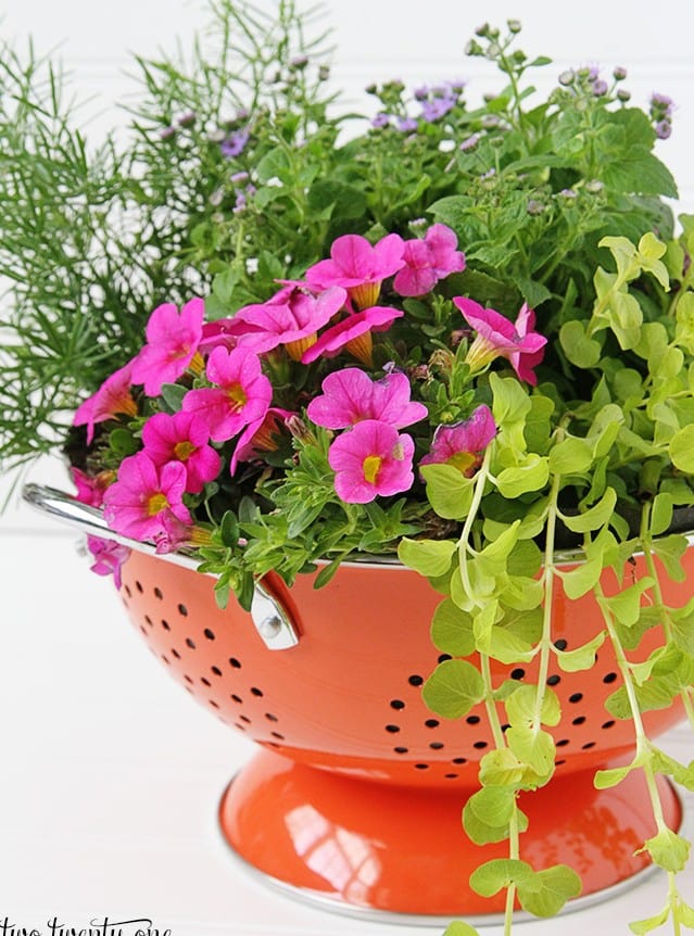 Colander flower planter. Creative ways to add color and joy to a garden, porch, or yard with DIY Yard Art and Garden Ideas! Repurposed ideas for the backyard. Fun ideas for flower gardens made from logs, bikes, toys, tires and other old junk. ~ featured at LivingLocurto.com