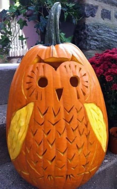 The Most Creative Halloween Pumpkins Ever Seen!