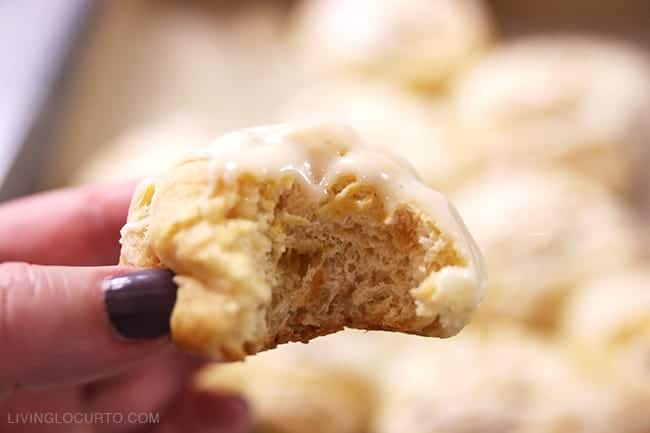 Pumpkin Cinnamon Rolls make any morning feel special! With a hint of coffee, cream cheese and pumpkin spices, your taste buds will jump for joy. Pumpkin Cinnamon Rolls make any morning feel special! With a hint of coffee, cream cheese and pumpkin spices, your taste buds will jump for joy.