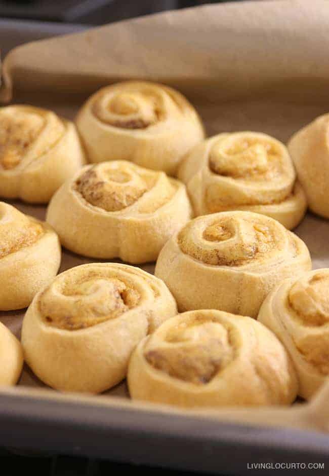 A quick and easy homemade breakfast in less than 25 minutes! Pumpkin Spice Cinnamon Rolls. A quick and easy homemade breakfast in less than 25 minutes! Pumpkin Spice Cinnamon Rolls.