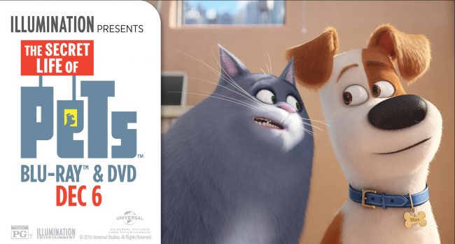 The Secret Life of Pets DVD Party Craft