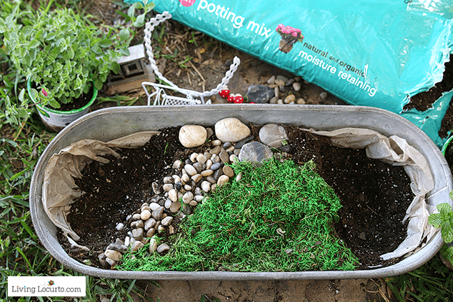 Tips for making an Herb Fairy Garden. Easy container garden for your kitchen! Easy tutorial for how to make a mini fairy garden for your home.