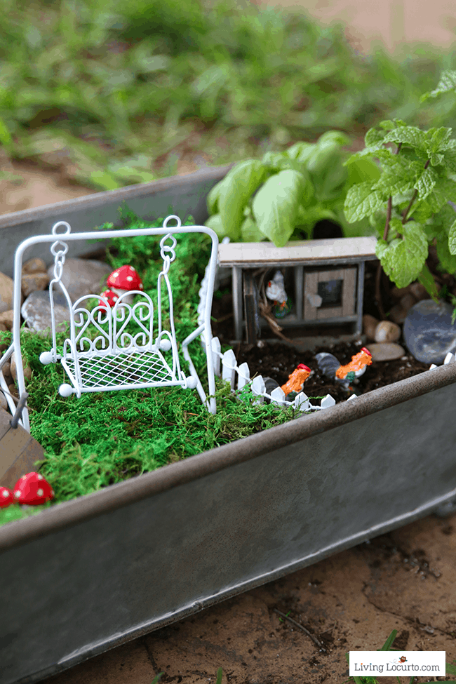 Tiny Chicken Coop. An Herb Fairy Garden is a fun container garden for your kitchen! Easy tutorial for how to make a mini fairy garden for your home. Cute kids craft ideas.