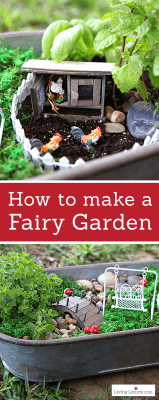How to make the cutest herb fairy garden for your kitchen! This edible herb garden is fun as home decor or to make as a gift.