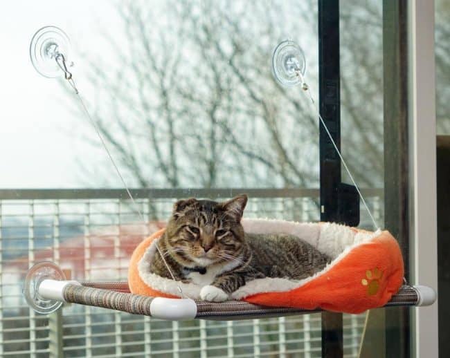 cat home decor ideas kitty cot window seat perch