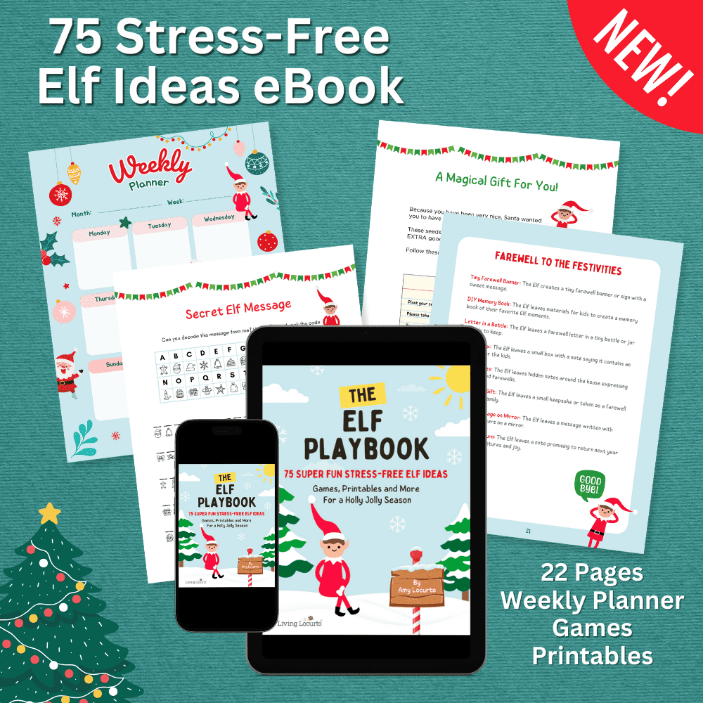 Elf Ideas Book