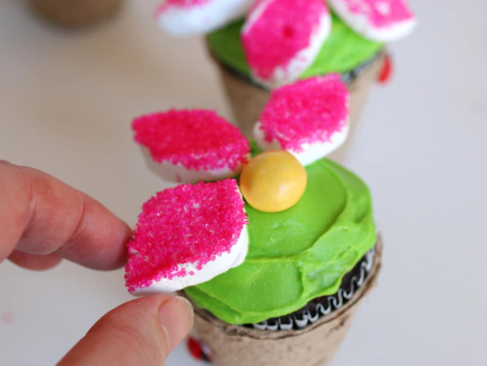 Marshmallow Flower Cupcakes 5 Marshmallow flower cupcakes. Easy spring cupcake decorating ideas.