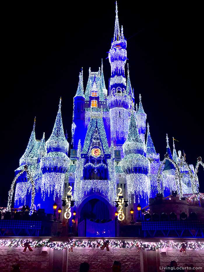 Tips for New Year’s Eve at Magic Kingdom